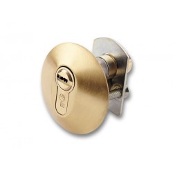 ESCUDO  410 P ESMALTADO ORO