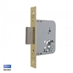 CERRADURA EMBUTIR 4031/60mm H LATONADO TESA