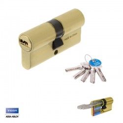 CILINDRO SEGURIDAD T655 30X40 LATON T6553040L TESA