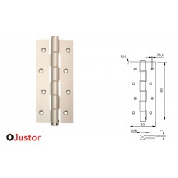 BISAGRA MUELLE SA 180mm 2Ud PLATA JUSTOR