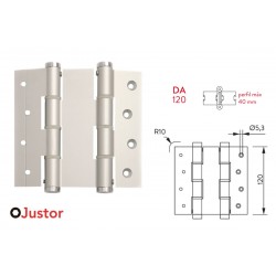 BISAGRA MUELLE 54 DA 120x40 2Uds PLATA