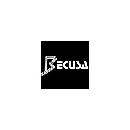 BECUSA